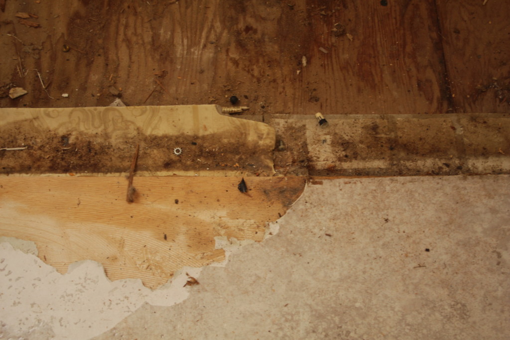 Top layer on the bottom, middle layer on left, original flooring on the right