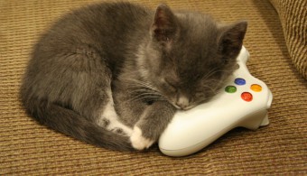 gamekitten