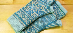 gloves
