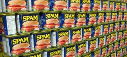 spam