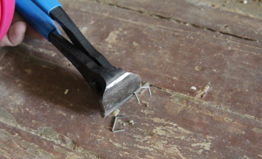 Remove Old Carpet And Flooring Staples, Best Tool To Remove Carpet Staples From Hardwood Floors